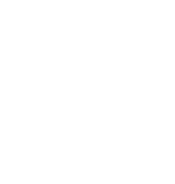 Spedi CMR Insights Logo